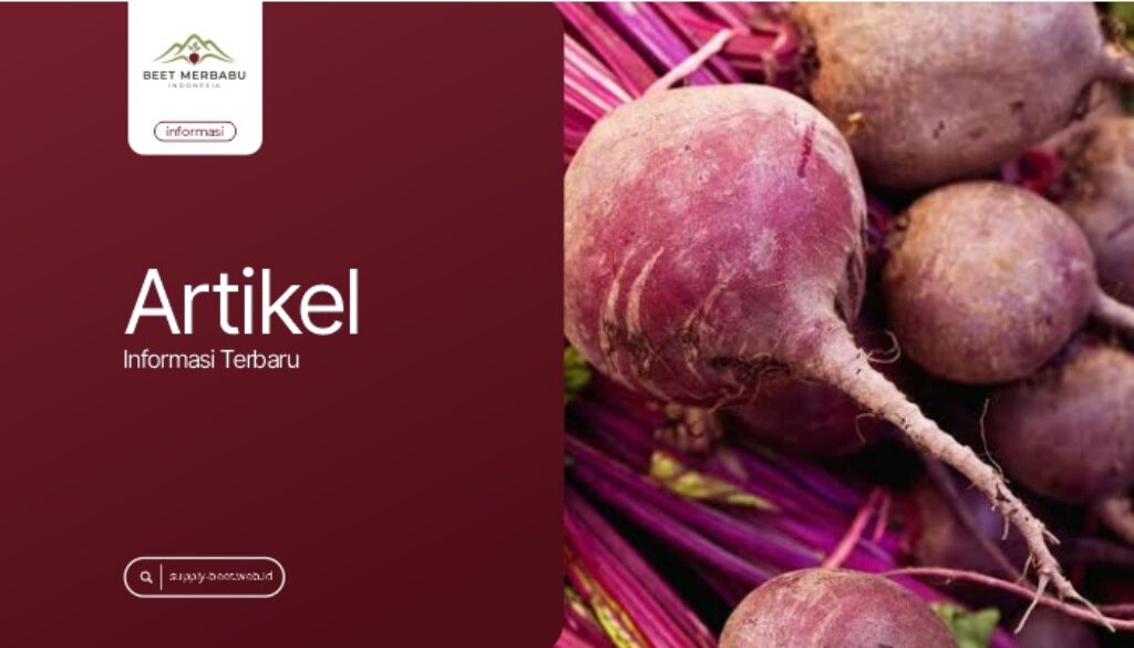 Manfaat Beet Segar untuk Industri Kualitas, Pengolahan, dan Kebutuhan Bahan Baku